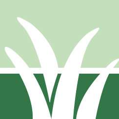 Yard Treatment Service Pros