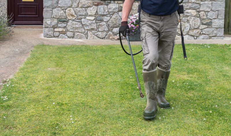 Lawn Treatment Service