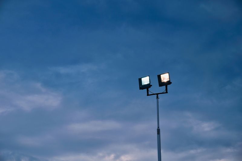 Pond Lighting Installation in Pasadena, CA